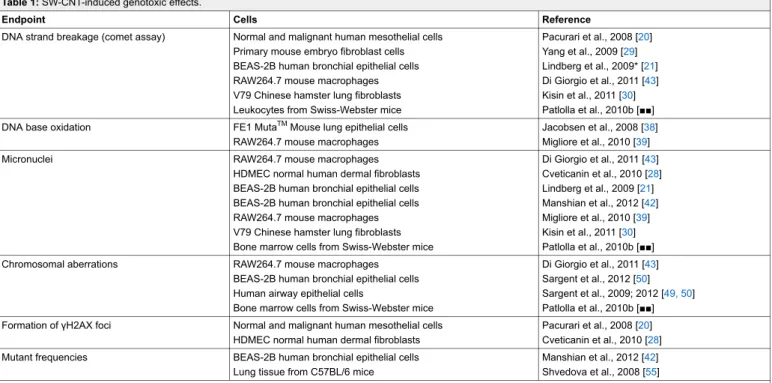 Table 1: SW-CNT-induced genotoxic effects.