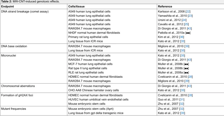 Table 2: MW-CNT-induced genotoxic effects.