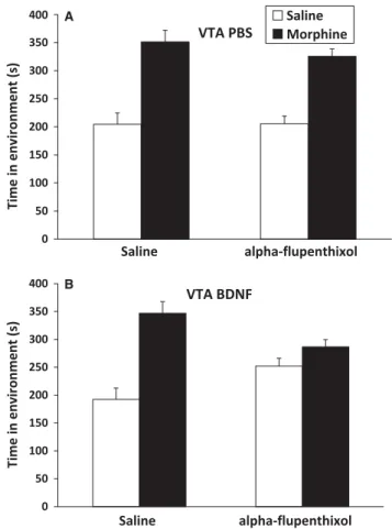 Fig. 2. Morphine place preferences are attenuated by dopamine receptor antagonism only after intra-VTA BDNF infusion