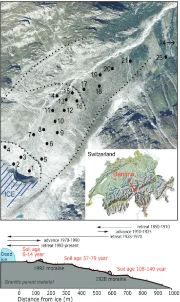 Fig. 1. Location of the sampling sites at the Damma Glacier forefield,  with age estimates based on the glacier retreat history.