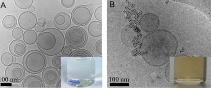 Fig. 1. Cryo-TEM images and corresponding macro-digital pictures of a lipo- lipo-some suspension either without oleic acid SPIONs (a) or after incorporation of oleic acid coated SPIONs (b) using the lipid ¿lm-particle rehydration method.