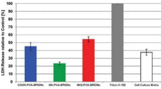 Fig. 4. Stability of all investigated PVA-SPIONs. The stability of NPs is pre- pre-sented as UV/Vis absorbance at 480 nm as a function of incubation time after NP incubation of 100 iron/mL in 10% FBS supplemented cell culture medium