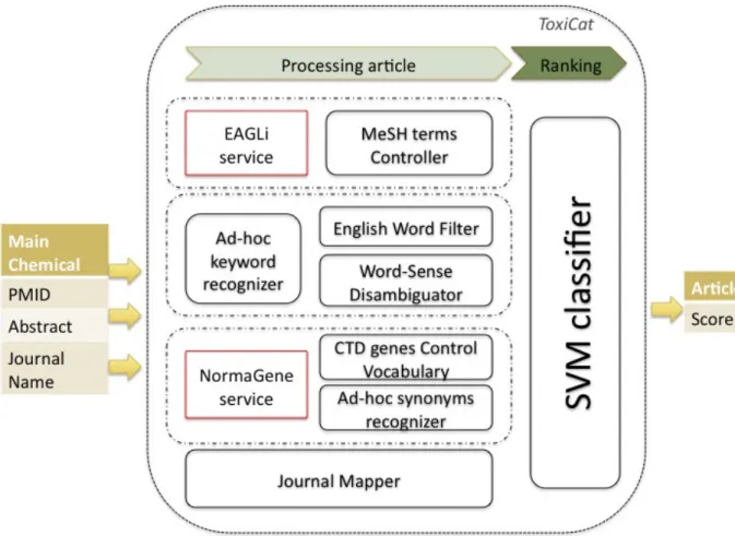 Figure 1 .  The workflow of ToxiCat. 