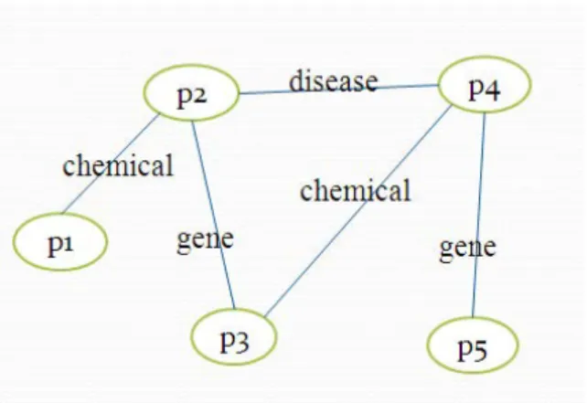 Figure 2: a toy example of co-occurrence interaction network. P i  means PubMed articles