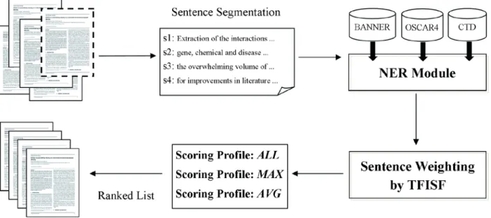 Figure 1. System workflow of DrTW. 