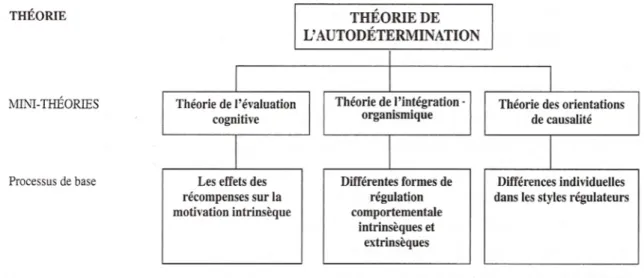 Figure 1 : Conceptualisation de la théorie de l’autodétermination et de ses « mini-théories » constitutive (Cury et Sarrazin, 2001) 