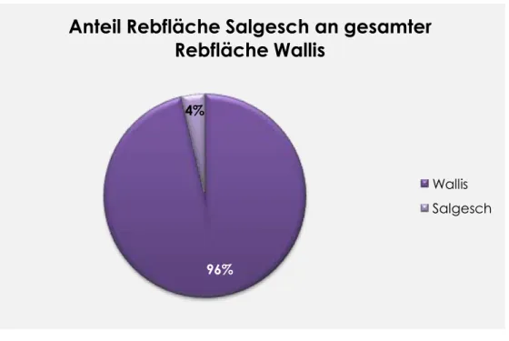 Abbildung 10 zeigt die Rebflächen im Wallis. Es ist deutlich zu erkennen, dass im Unterwallis  mehr Flächen mit Reben bepflanzt sind als im Oberwallis