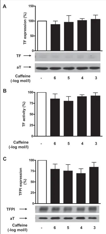Figure 2: Caffeine does not affect basal TFPI and TF expression in  human aortic endothelial cells