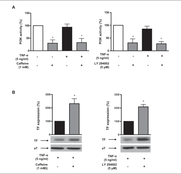 Figure 6: Caffeine inhibits PI3K activity. Caffeine (10 –3  M) inhibits en- en-dothelial PI3K activity under basal conditions and in the presence of TNF- α  (A, left panel)