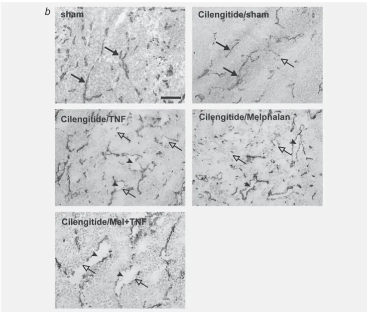 Figure 3. Continued