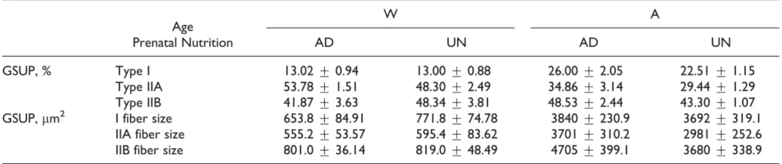 Table 2. The Effect of Maternal Undernutrition During Pregnancy on the Structure of GSUP in Offspring at Weaning and Adulthood a
