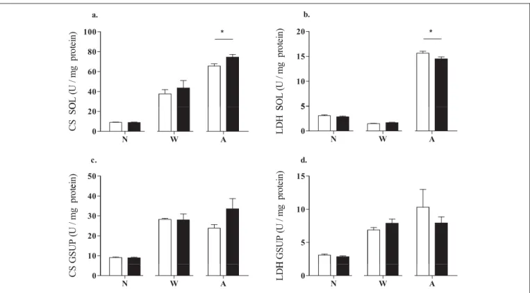 Figure 3. Effect of maternal undernutrition during pregnancy on oxidative and glycolytic enzyme activity in the SOL and GSUP (omit of off- off-spring) in neonatal (N), weaning (W), and adult (A) AD (offspring of ad libitum fed mothers; white bars) and UN (