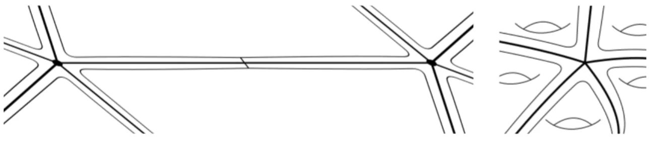 Figure 6: The construction of S ε g n and its embedding in S g n