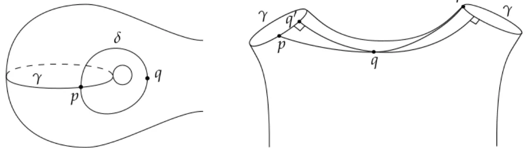 Figure 2: Two intersecting systoles