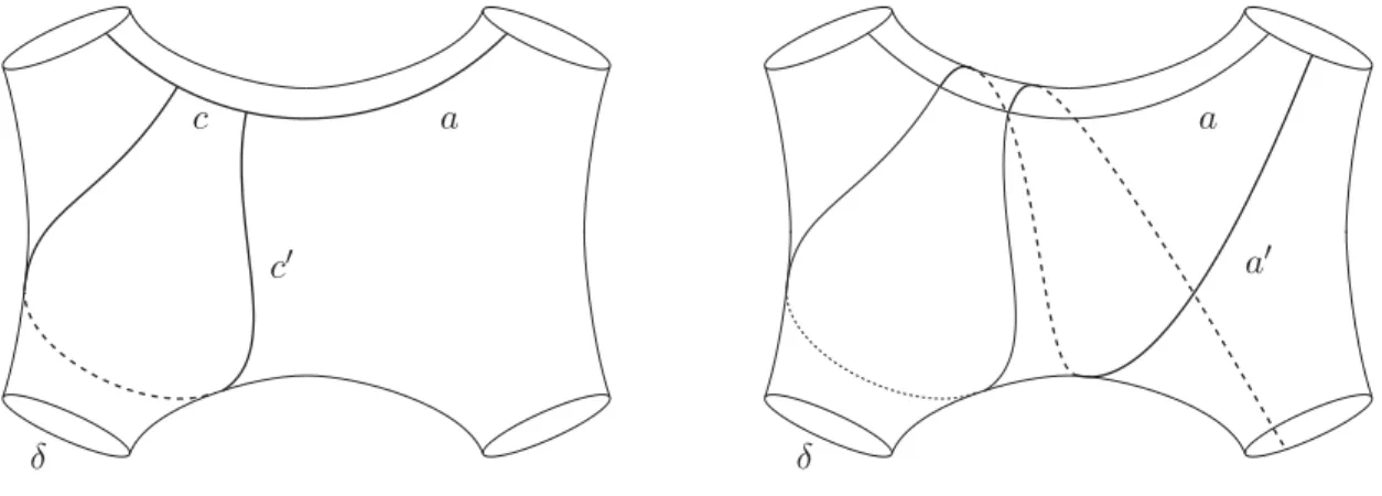 Figure 2. The arcs a and a  , shown in the four-holed sphere F.