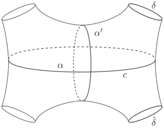 Figure 3. The surface X determined by α and α 