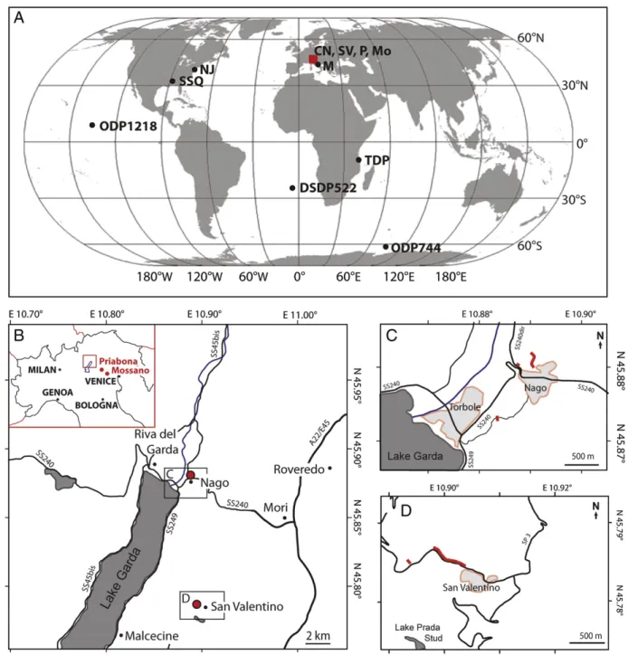 Fig. 1. A) Location of the studied sections in northern Italy (red square) and of other localities mentioned in this study containing the Eocene–Oligocene transition: Nago (CN), San Valentino (SV), Massignano (M), Priabona (P), Mossano (Mo), St
