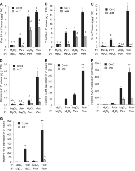 Figure 7. Biological SAR Confers Defense Priming on the Metabolite and Gene Expression Levels in an ALD1-Dependent Manner.