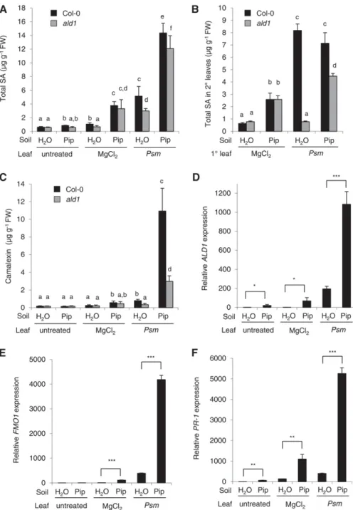 Figure 8. Exogenous Pip Confers SAR-Related Defense Priming on the Metabolite and Gene Expression Level and Restores Systemic SA Accu- Accu-mulation in ald1.