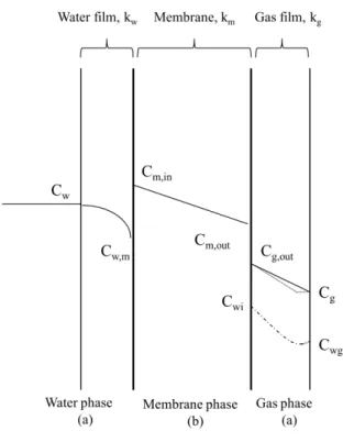 Figure 1.1 Schematic presentation of mass transfer process through a membrane where (a) are the boundary layers  in water and gas phase and (b) the membrane 
