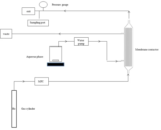 Figure 2.1 Schematic presentation of experimental setup for gas stripping in PermSelect R  PDMSXA-10 hollow fiber  membrane module (MFC: Mass Flow Controller)