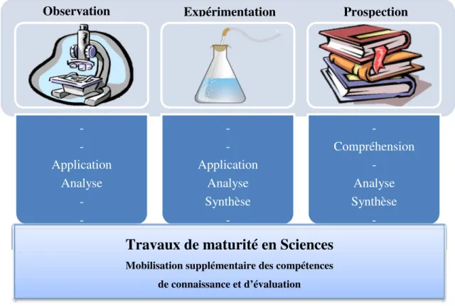 Figure 7 : Compétences travaillées par type de TPs. 