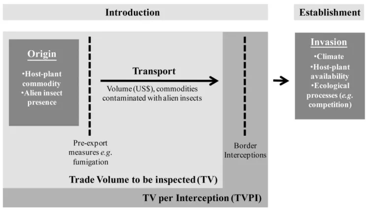 Figure 1. Insect dispersal through agricultural trade. We defined the Trade Volume to be inspected (TV) to importing European country d when importing commodity c from origin country o, as the value of trade in commodity c (in US$), if both insect species 