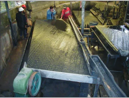 Figure 15:  Introduction of  shaking tables  for  gravimetric  concentration  in the Cotapata  Cooperative,  Bolivia