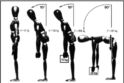 Abbildung 8: Druckbelastung der posterioren Anteile der Lumbosakralbandscheiben durch verschiedene  Körperhaltungen und Gewichte (nach Mathiash)