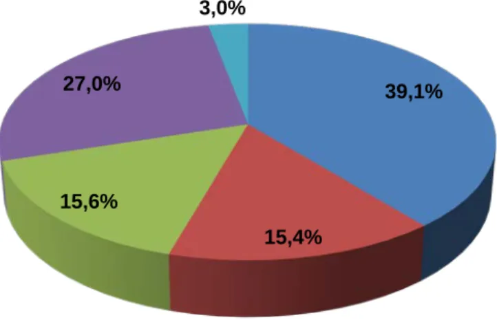 Graphique 8 - Répartition par thème des APC (en %) 