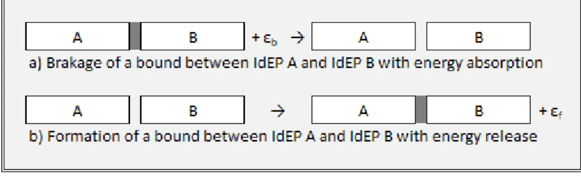 Figure 2. Diagram of IdEPs and of their chemical combinations 
