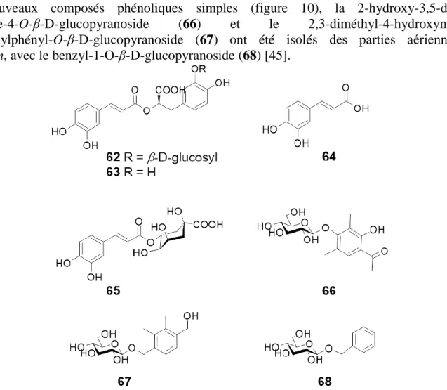Figure 10. Structure des acides-phénols et des composés apparentés des parties aériennes   d’E