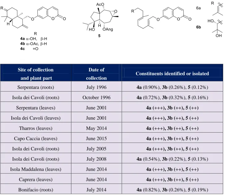 Table 1. Summary of the collections of F. arrigonii investigated in the present study