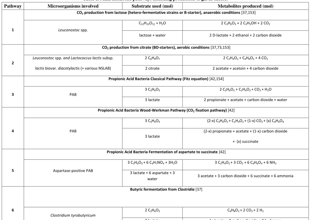 Table 1. Main metabolic pathways including production of gas in cheese.