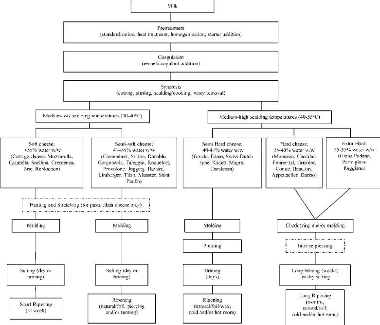 Figure 1 provides a technological classification of cheese types, mainly based on the texture of the  final  product  (from  soft  to  extra-hard),  which  is  mostly  related  to  the  moisture  content  (from  high  to  low)