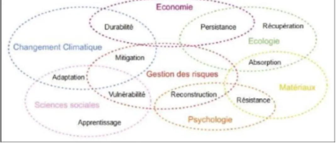 Figure 1. La multitude de disciplines associées au concept de résilience, (Lhomme et al., 2010) 