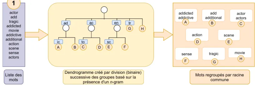 Figure 2. : La méthode de regroupement de RFreeStem (étape (1)), basée sur des divisions successives des groupes de mots en plusieurs sous-groupes, et représentée par un dendrogramme, un diagramme  repré-sentant l’organisation hiérarchique des groupes géné
