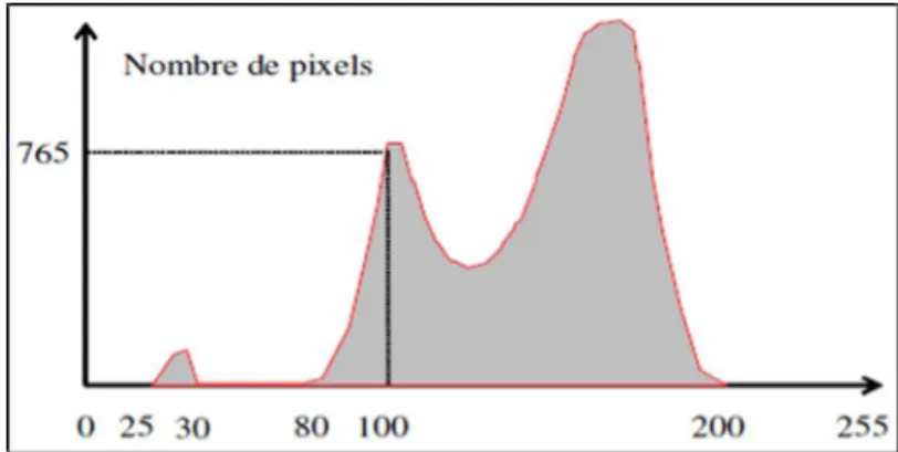 Figure 2.: Histogramme d’image codée sur un octet.