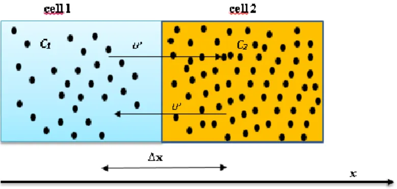 Figure II.4. Schéma expliquant le flux de diffusion 