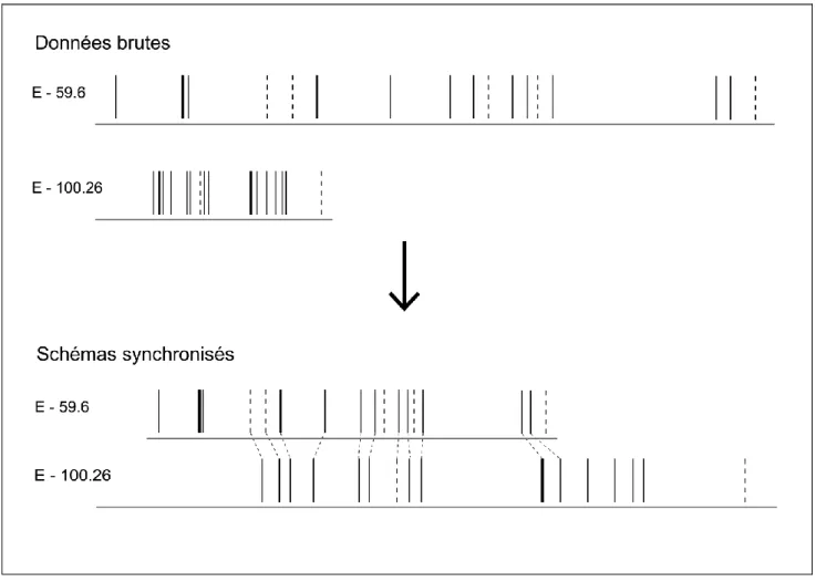 Figure 6. Synchronisation des séquences de deux échantillons appartenant à la même unité sédimentaire,  Grotte Mandrin, couche E