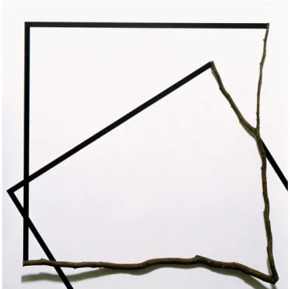 Figure 1. François Morellet,                                      branche et acrylique sur bois, 240 x 240 cm 