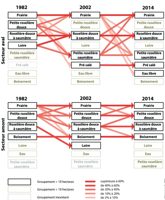 Figure 4. Représentation schématique des principales transitions sur les bords de Loire des deux secteurs d’étude entre 1982, 2002 et 2014