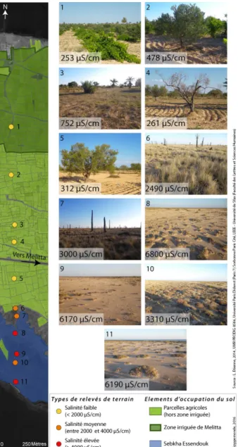 Figure 2. Succession végétale des sebkhas aux palmeraies et détection de la bordure de sebkha : exemple de la sebkha Essendouk au sud de Gharbi (sources : Image SPOT 5 de 2010 ; photographies et relevés de salinités réalisés en juin 2011)