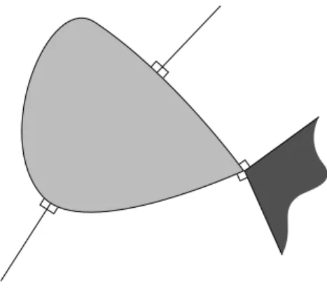 Figure 3.8: Cˆones normaux en divers points de A