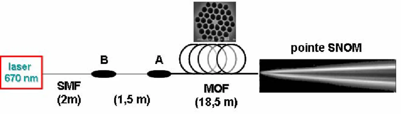 Figure I.11 Dispositif expérimental utilisé pour l’étude en microscopie en champ proche