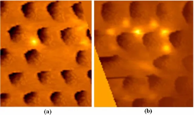 Figure I.23 Images SNOM optique et topographique de 9,2 µm de hauteur. Le contraste de  chaque image est normalisé à son maximum et à son minimum