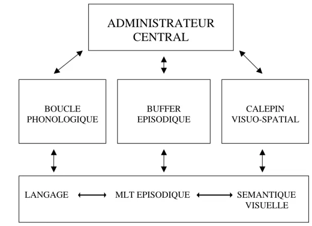 FIG. 04 : Schéma explicatif revu et modifié de la mémoire de travail selon BADDELEY,                  2000 4