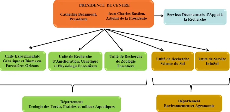 Figure 2 : Organisation de l’INRA d’Orléans  