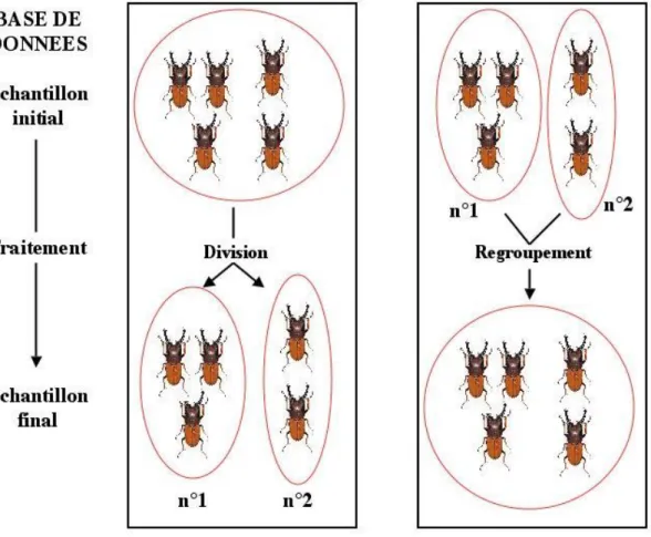 Figure 6 : Division et regroupement d’échantillons 