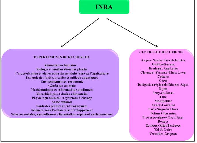 Figure 1 : Organisation de l’INRA  